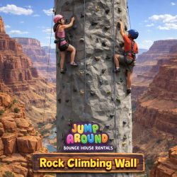 Rock Climbing Wall